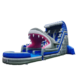 Shark Dual Lane Slide